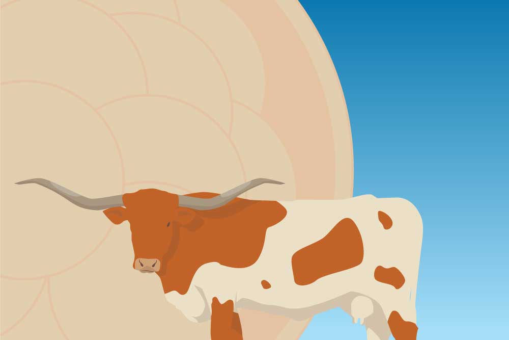 Meeting Banner