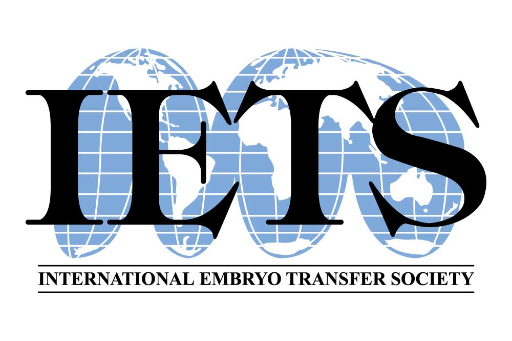 Meeting Banner